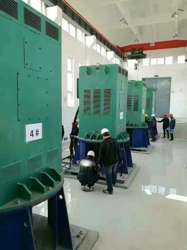 扎鲁特某污水处理厂使用我厂的立式高压电机安装现场