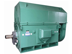 扎鲁特Y系列6KV高压电机